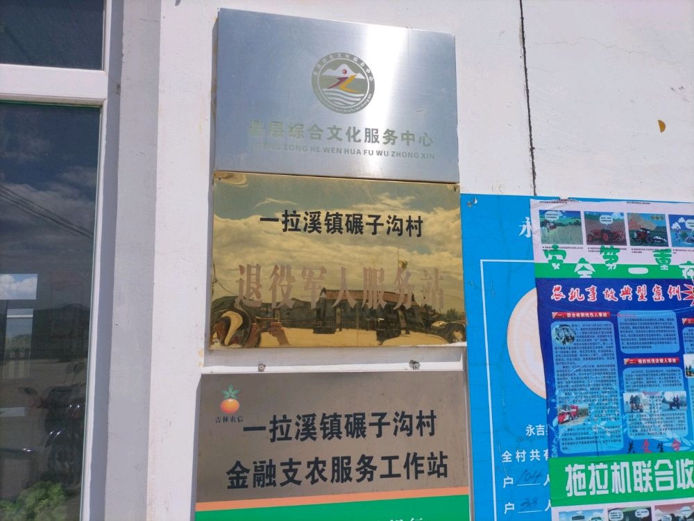 吉林省吉林市永吉县一拉溪镇碾子沟村退役军人服务站