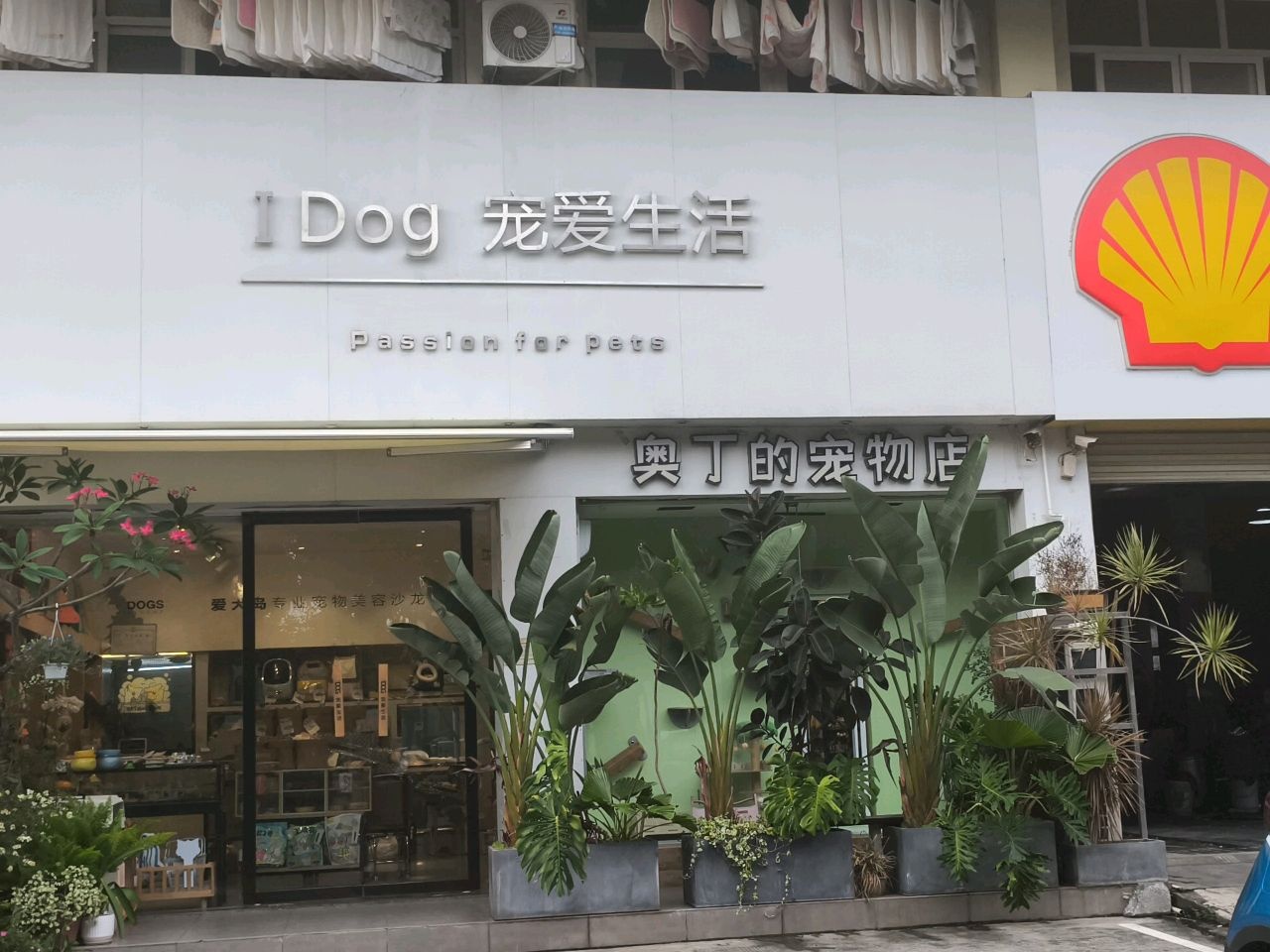 i Dog宠爱生活(广东路店)