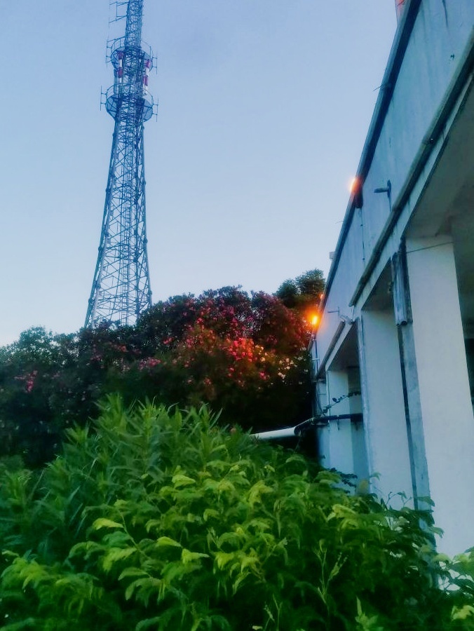 南山公园(南大路)