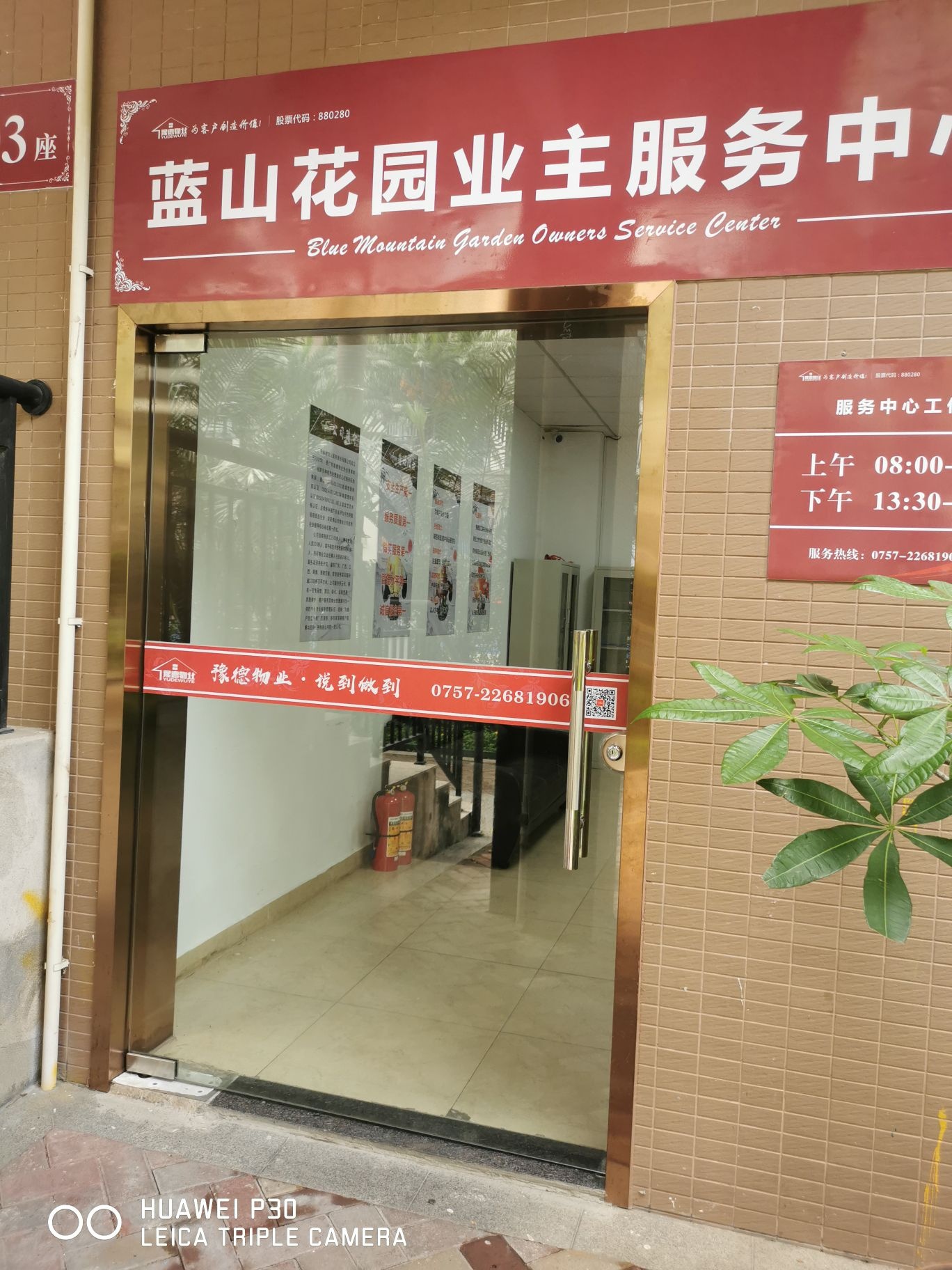 蓝山花园游泳池