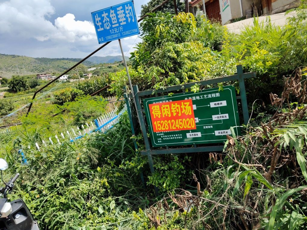 得闲钓场