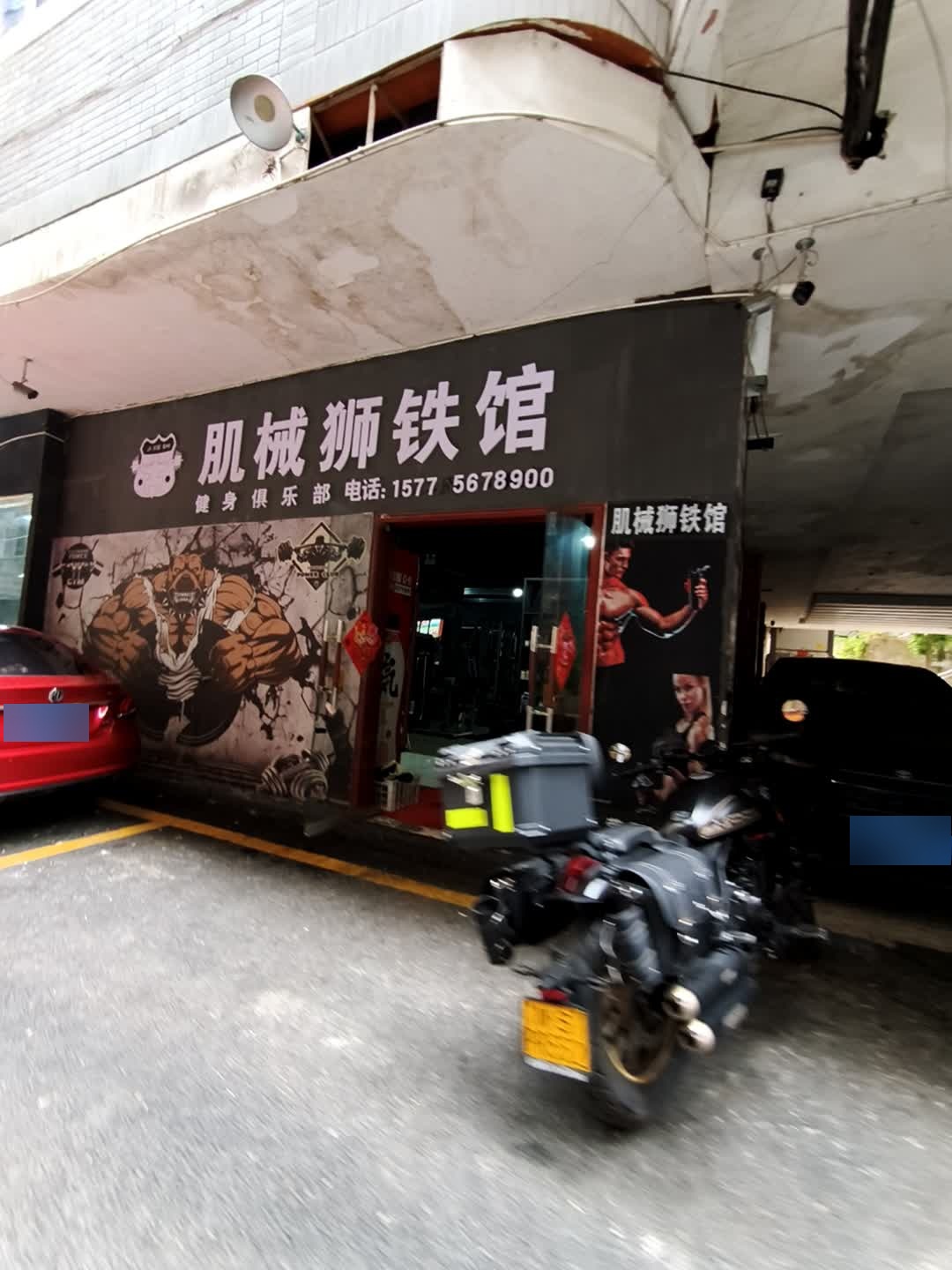 肌械狮健身房