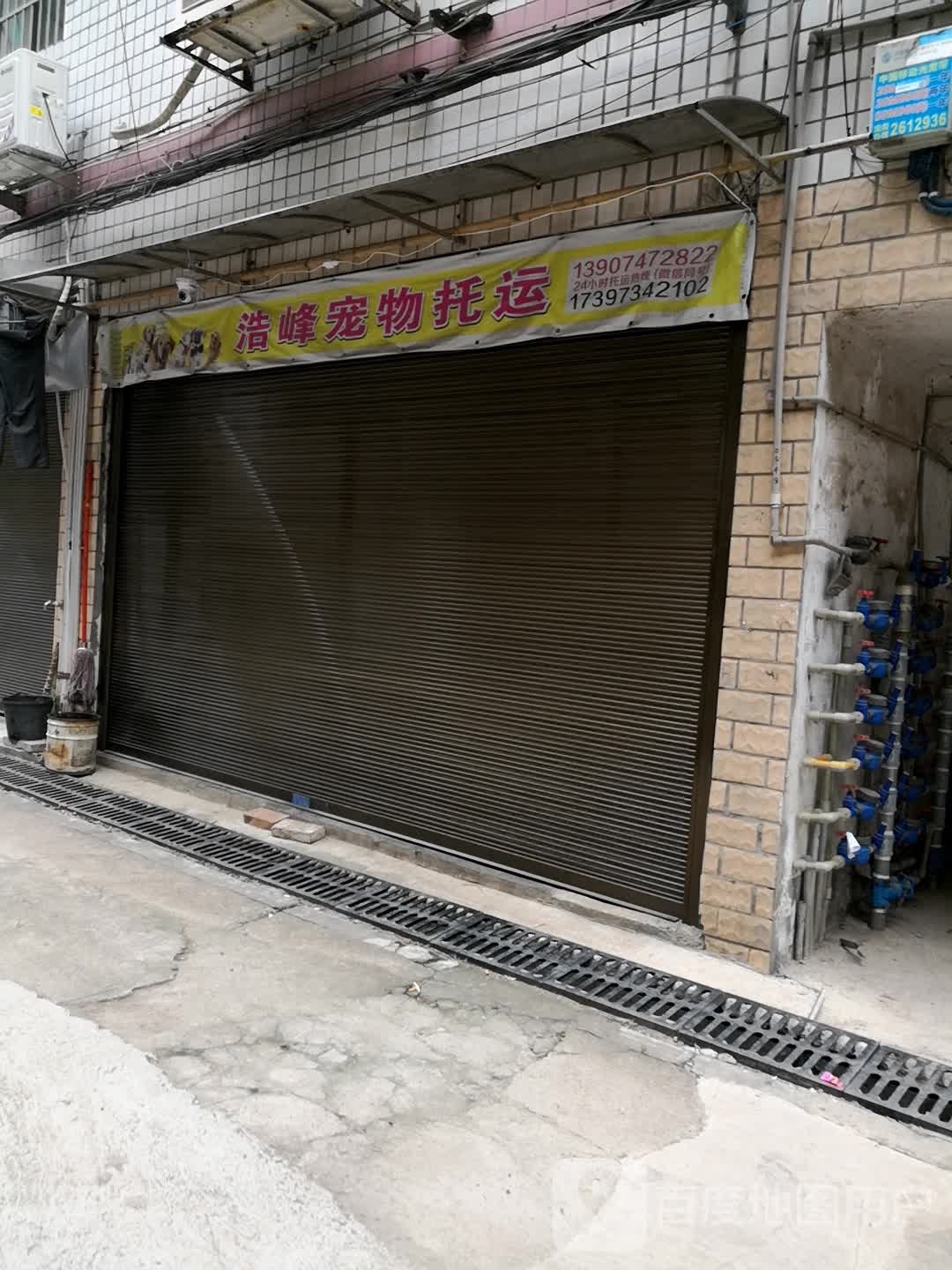 浩峰宠物托运