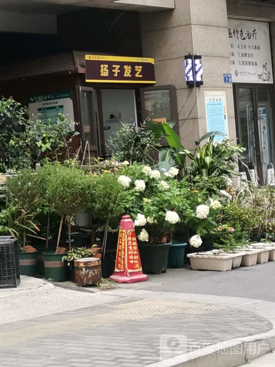 扬子发艺社