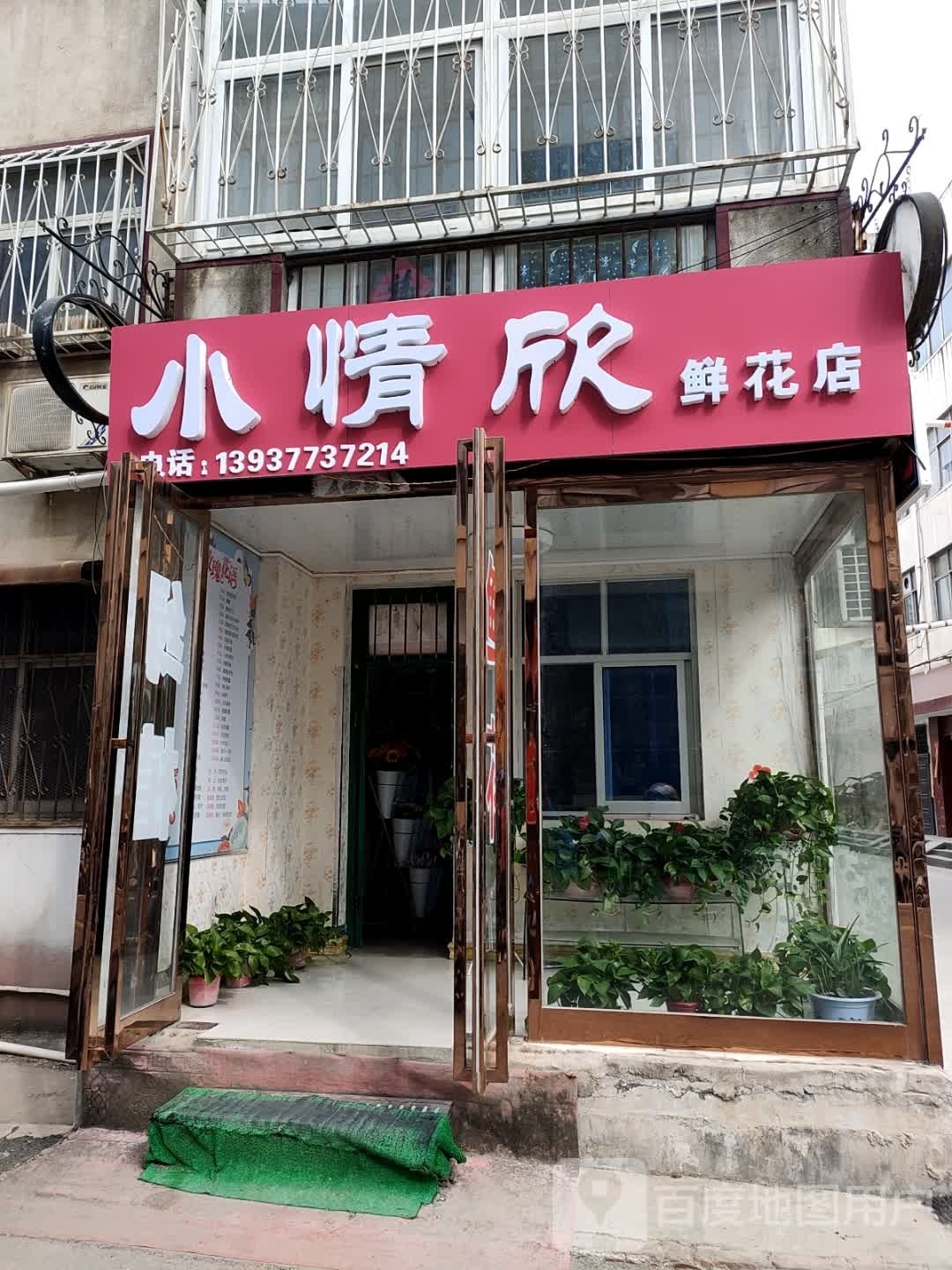 方城县小情欣鲜花店