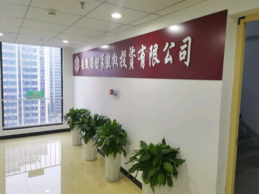 安徽省锂享股权投资有限公司