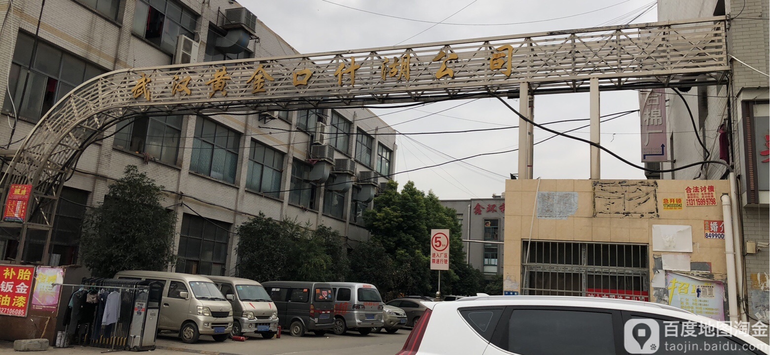 武汉黄金口什湖公司