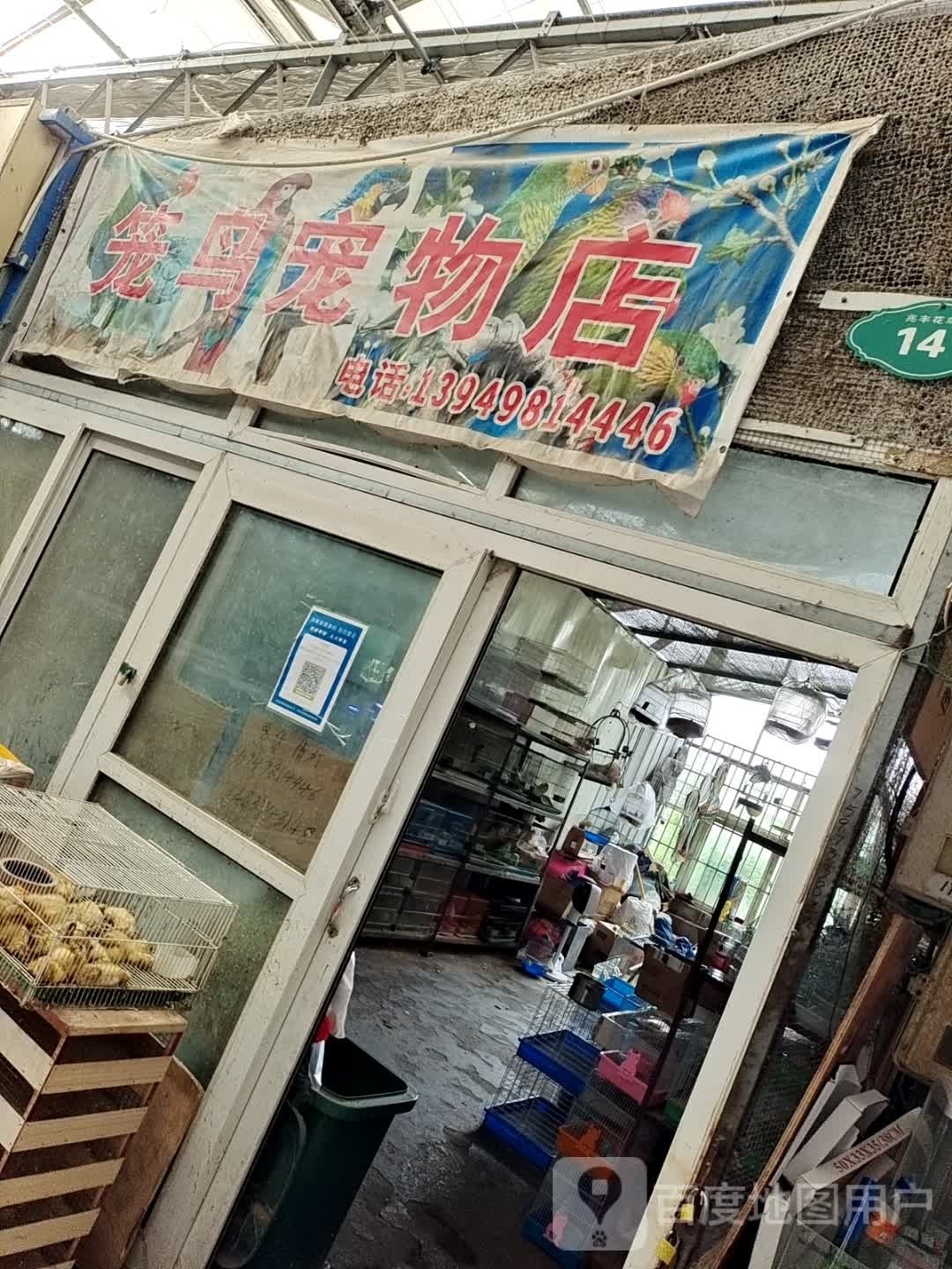 笼鸟宠物店