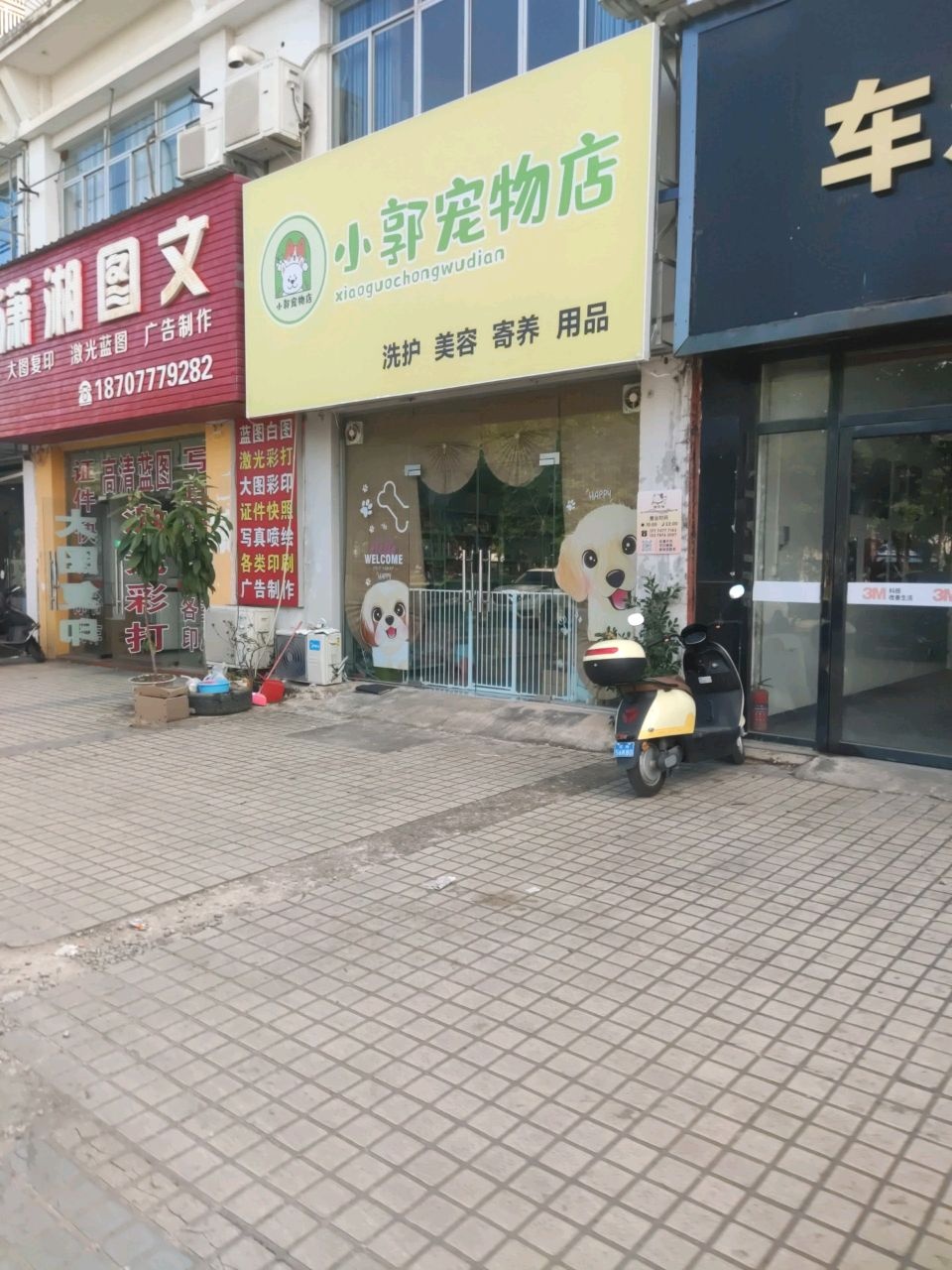 小郭宠物店
