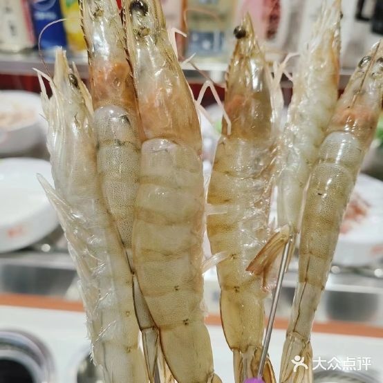 转旋铘红厌险嘹厌小火锅旗舰店
