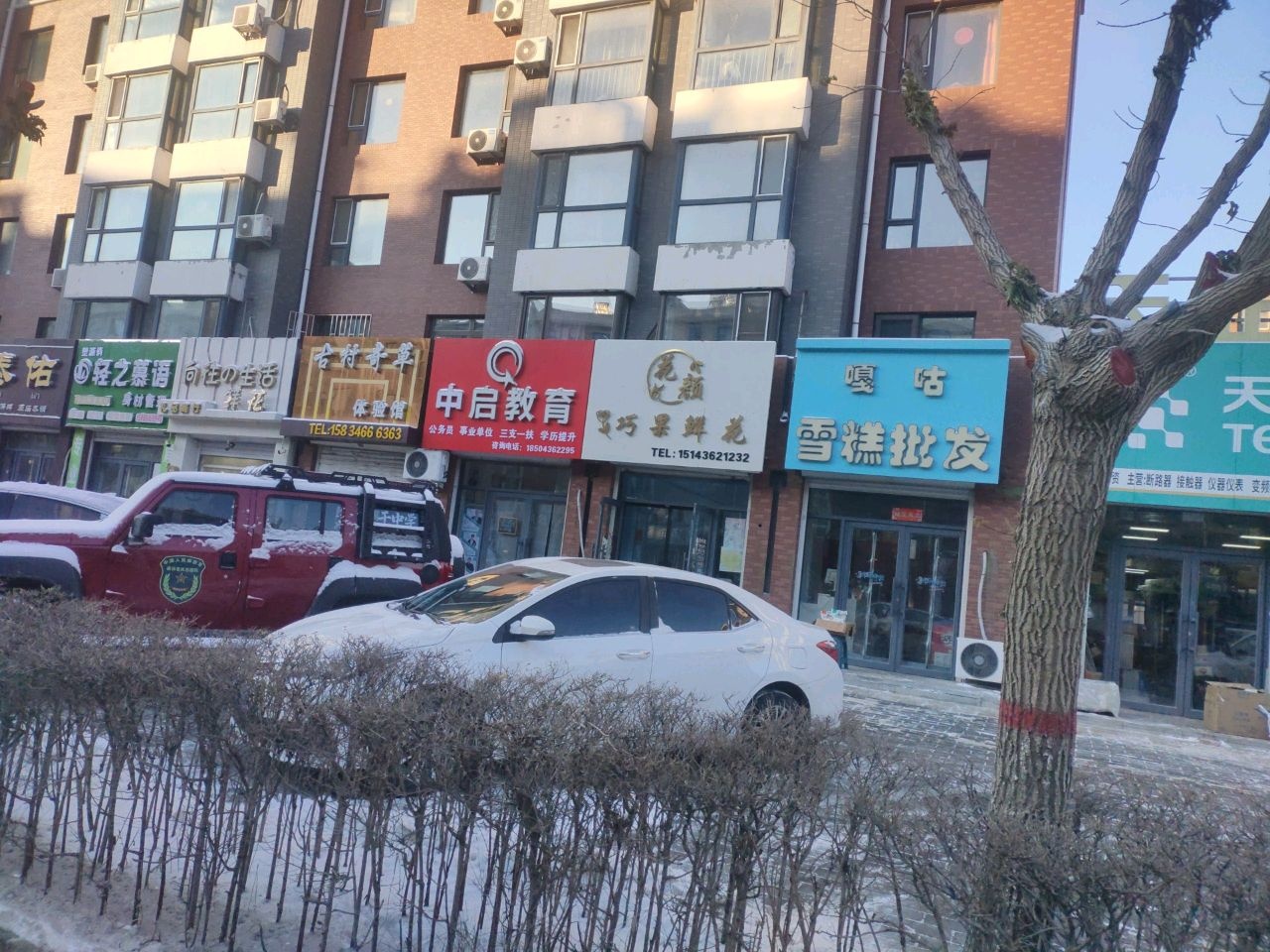 罗巧果鲜花