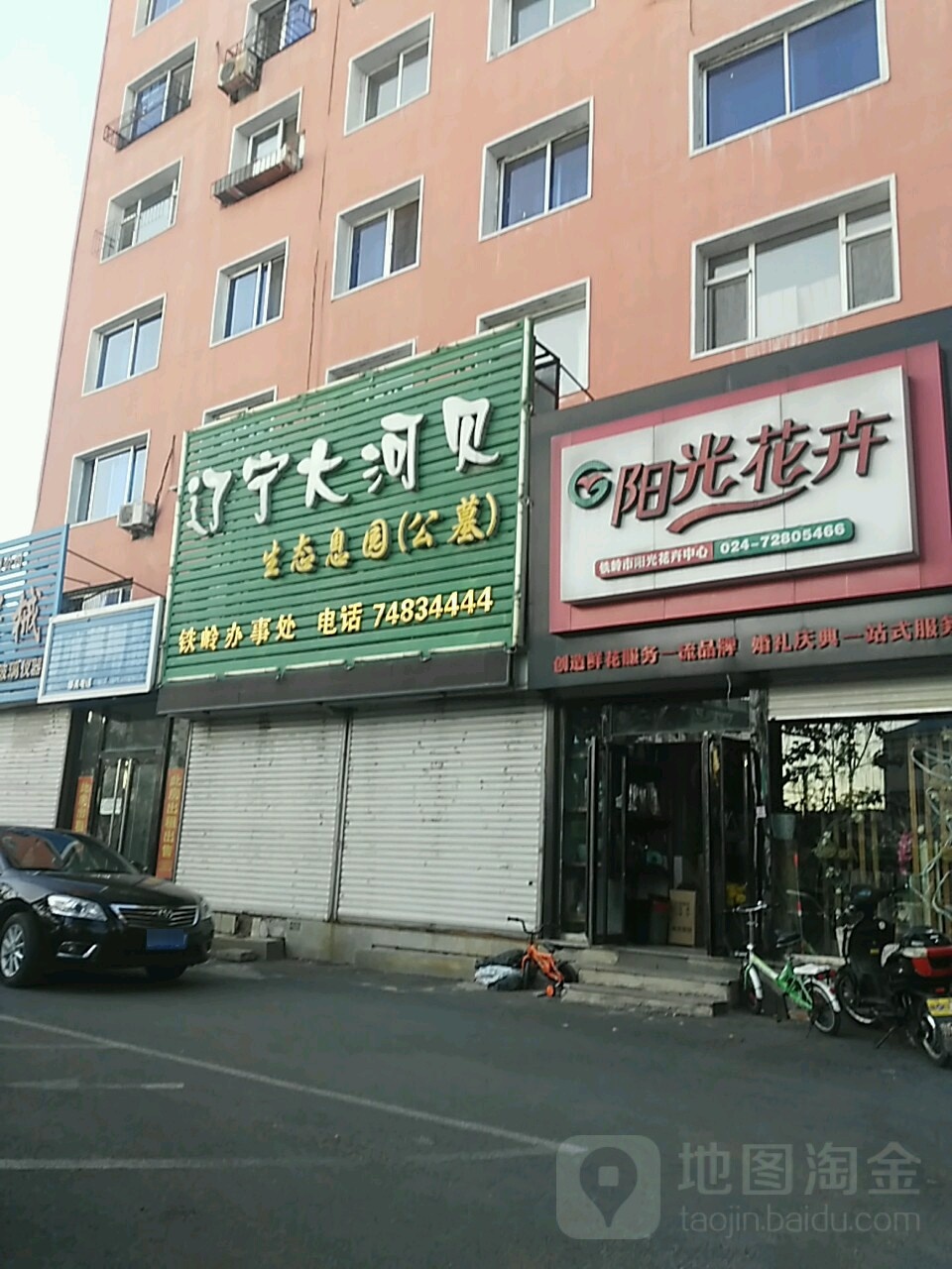 阳光花卉(南马路店)