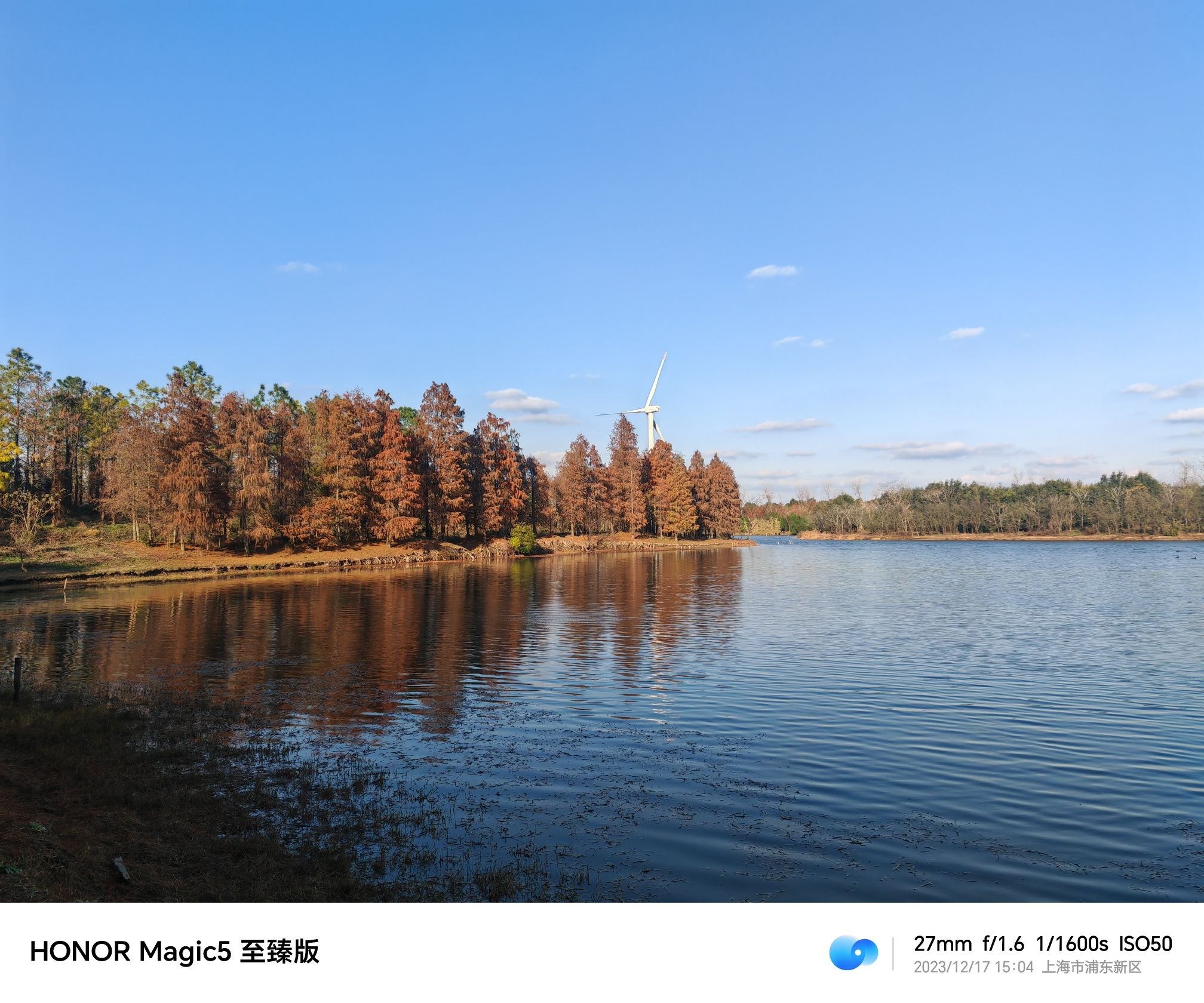 上海滨海森林公园