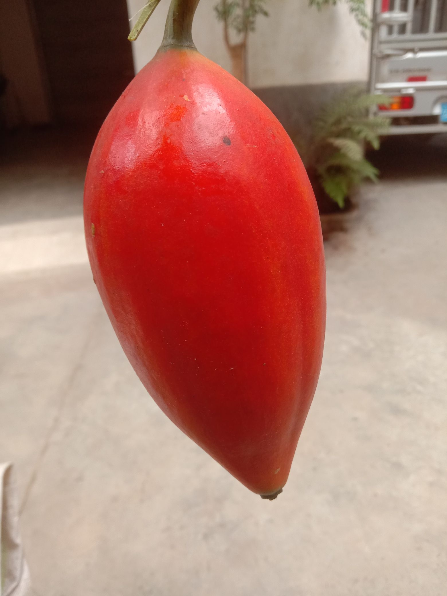云县茶房乡大过口加油站