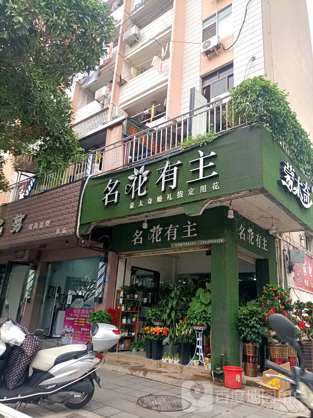 名花有主(李纲中路店)