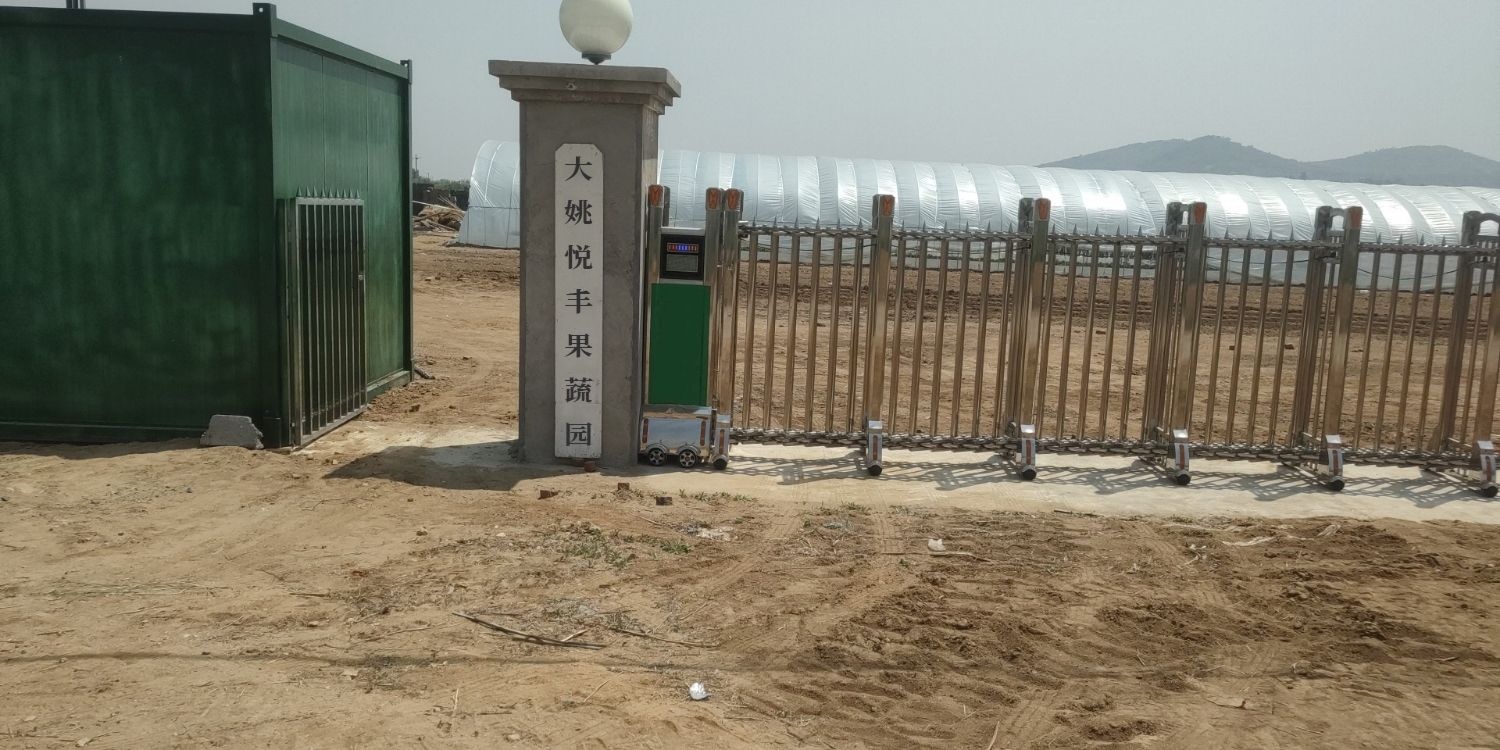 大姚悦丰果蔬园