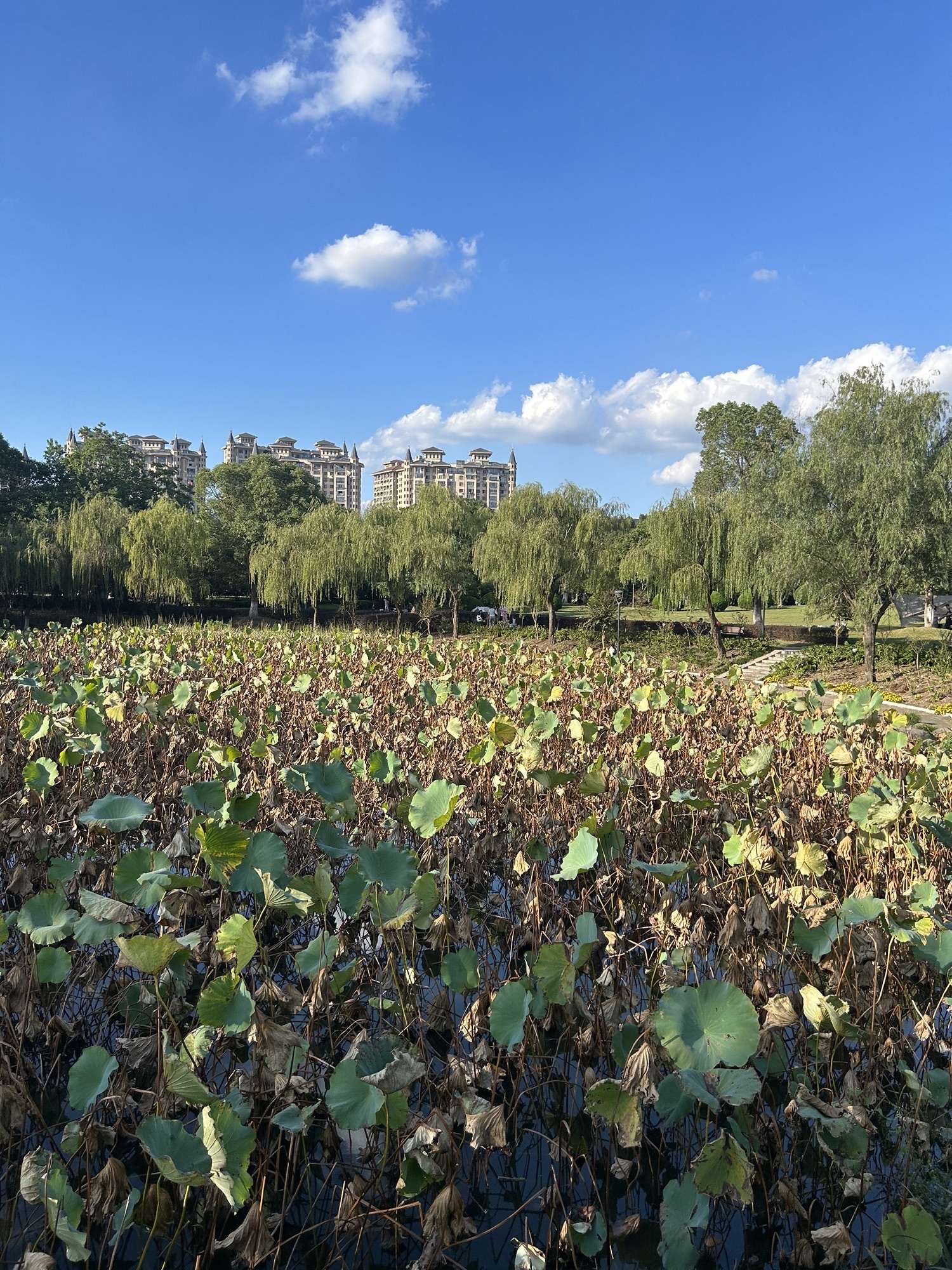 灵湖景区