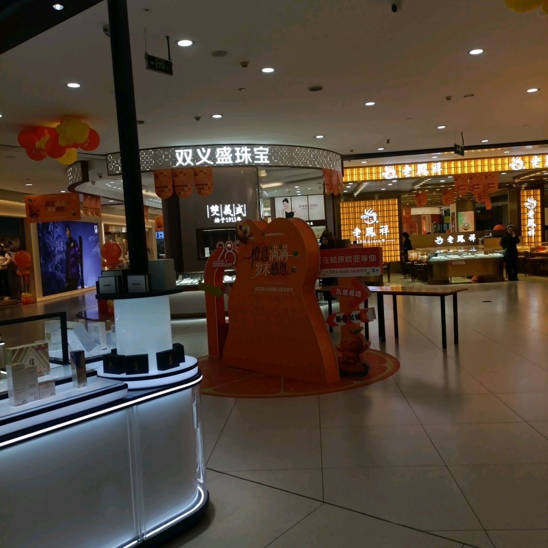 双义盛珠宝(松原欧亚购物中心店)