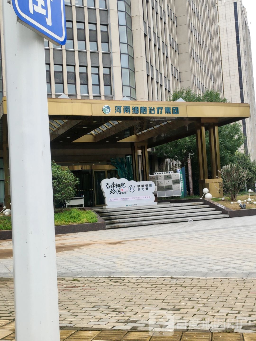 上海细胞治疗集团