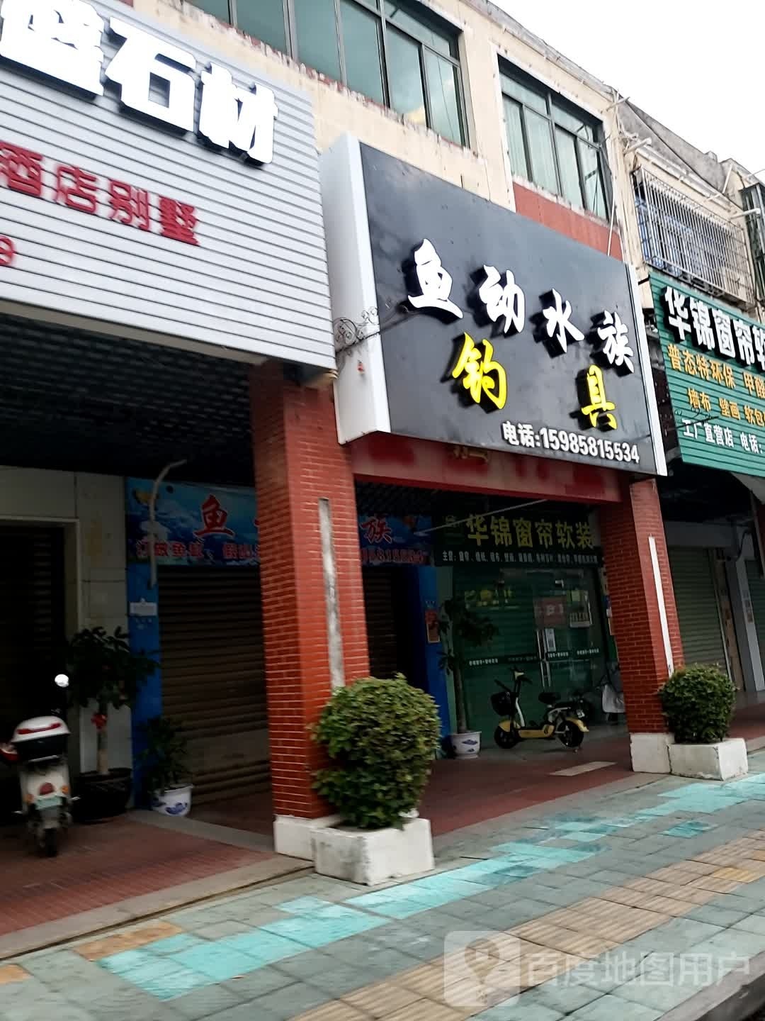 翔龙鱼动水族馆