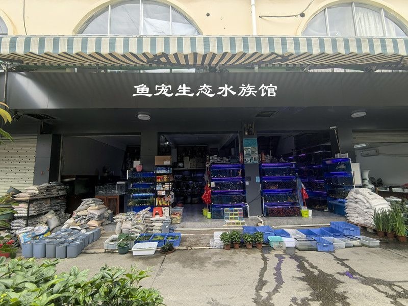 鱼宠生态水族