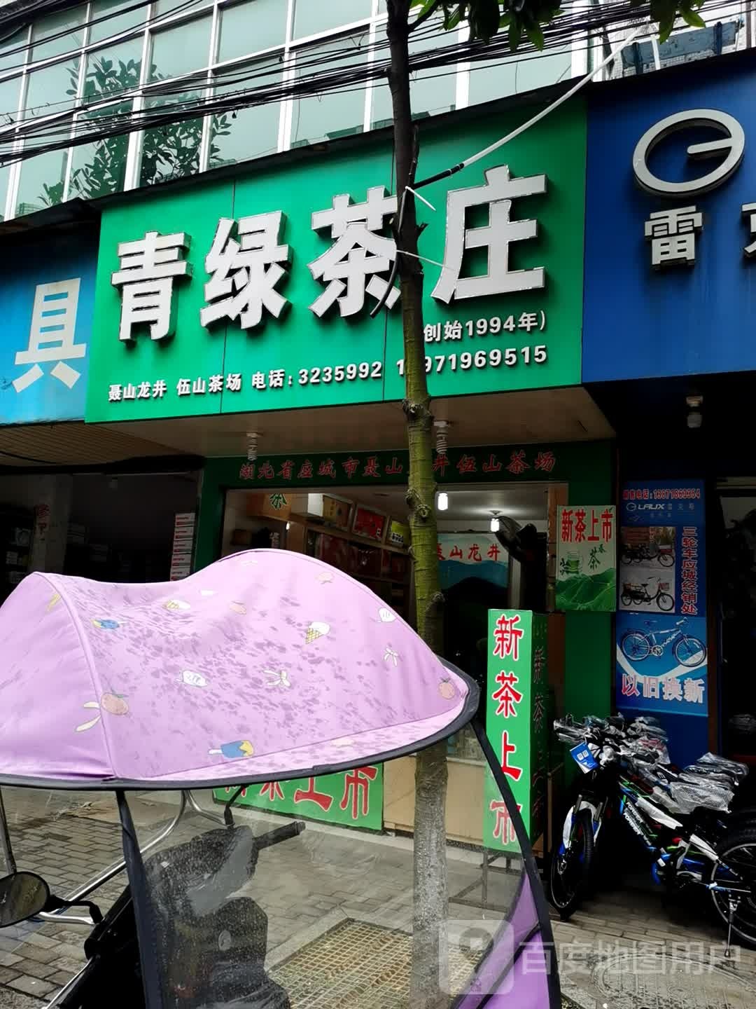 青绿茶叶