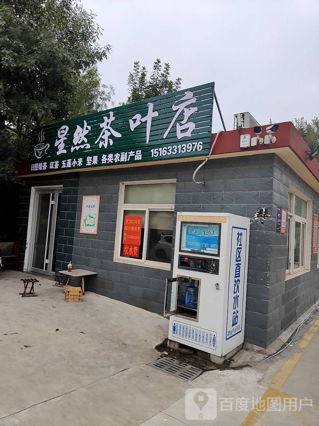 星然茶叶店