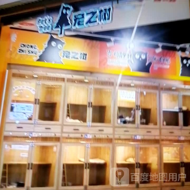 宠之树(奥特莱斯购物中心新华街店)