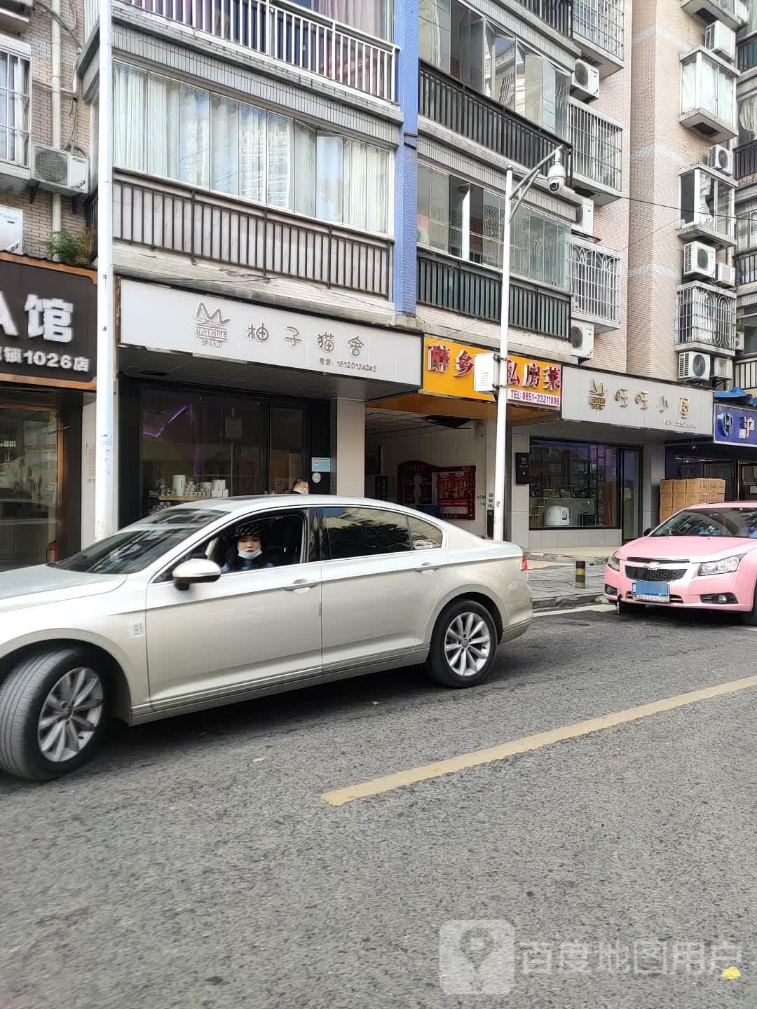 柚子猫舍