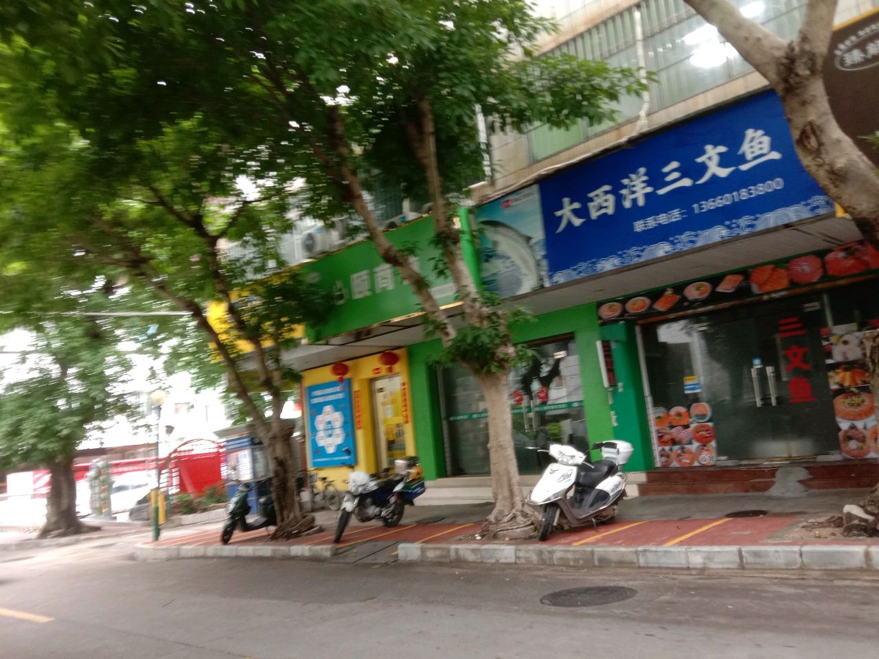 大西洋三文鱼(竹苑店)