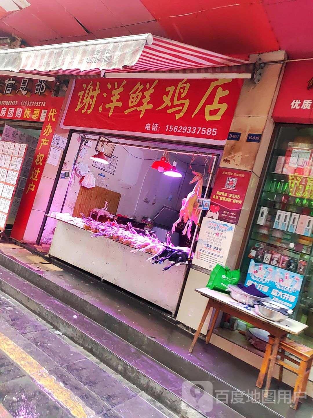 谢洋鲜鸡店