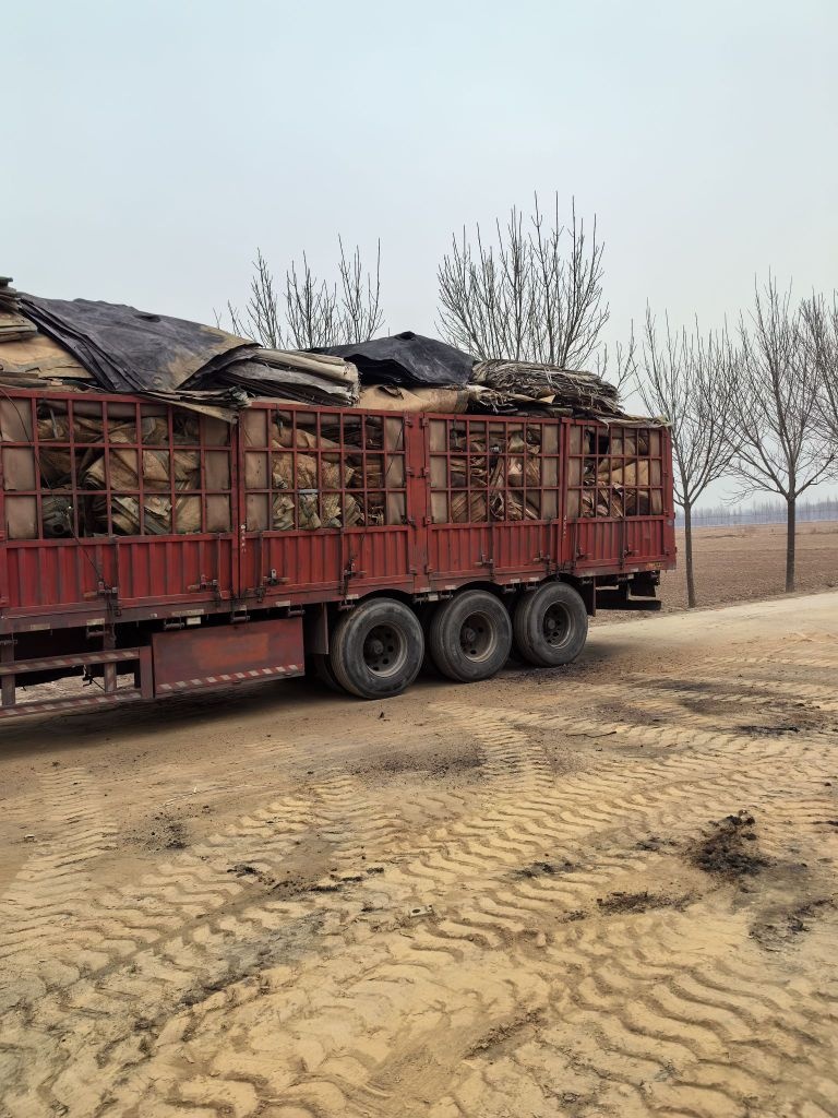 景县杜桥泽诚再生资源回收中心