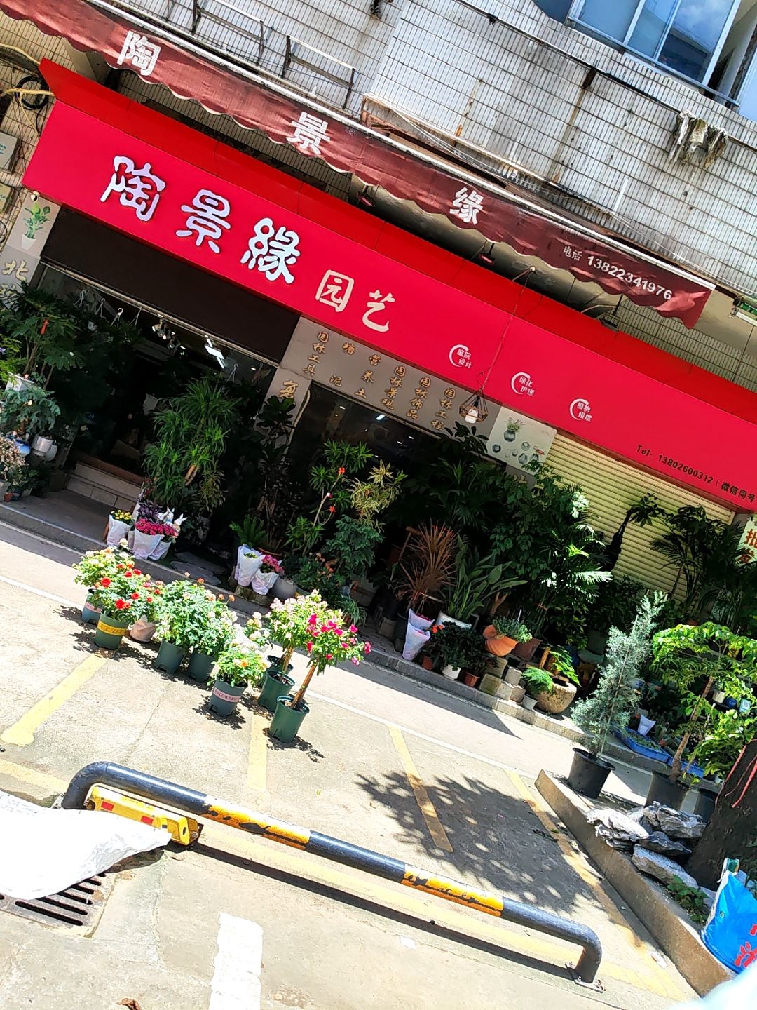 陶景缘园艺花盆
