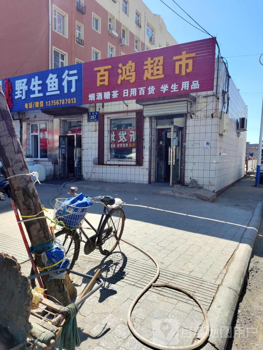 野生鱼行