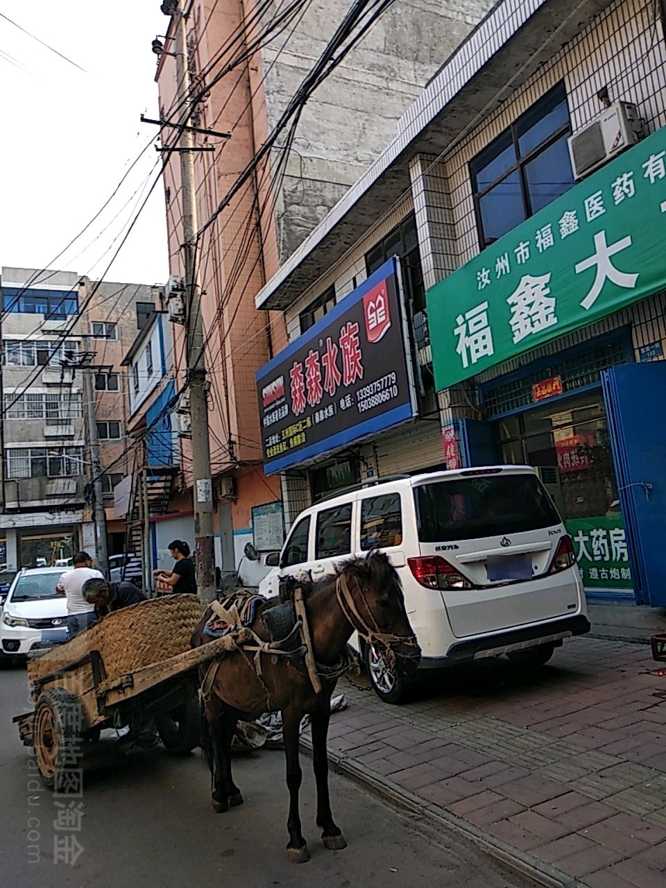 森森水(汝州店)