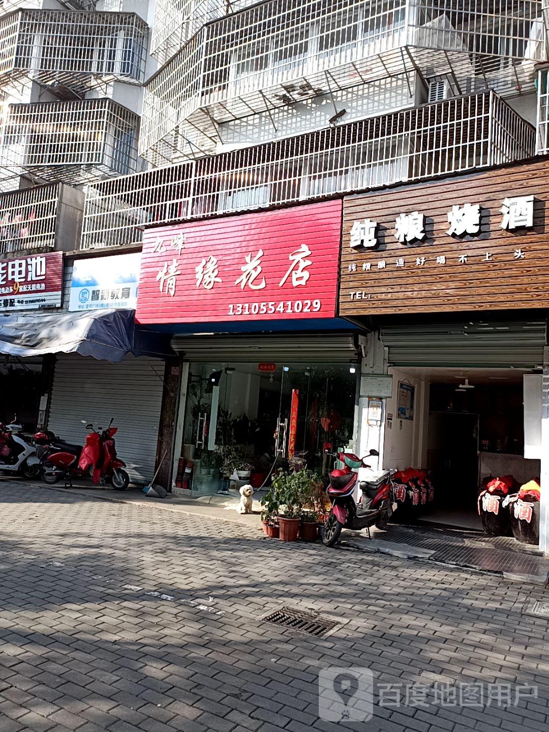九峰情缘花店(九峰西路店)