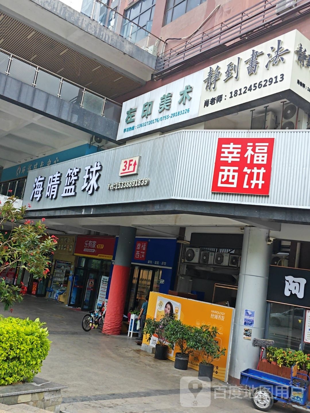 海晴篮球(观澜校区)