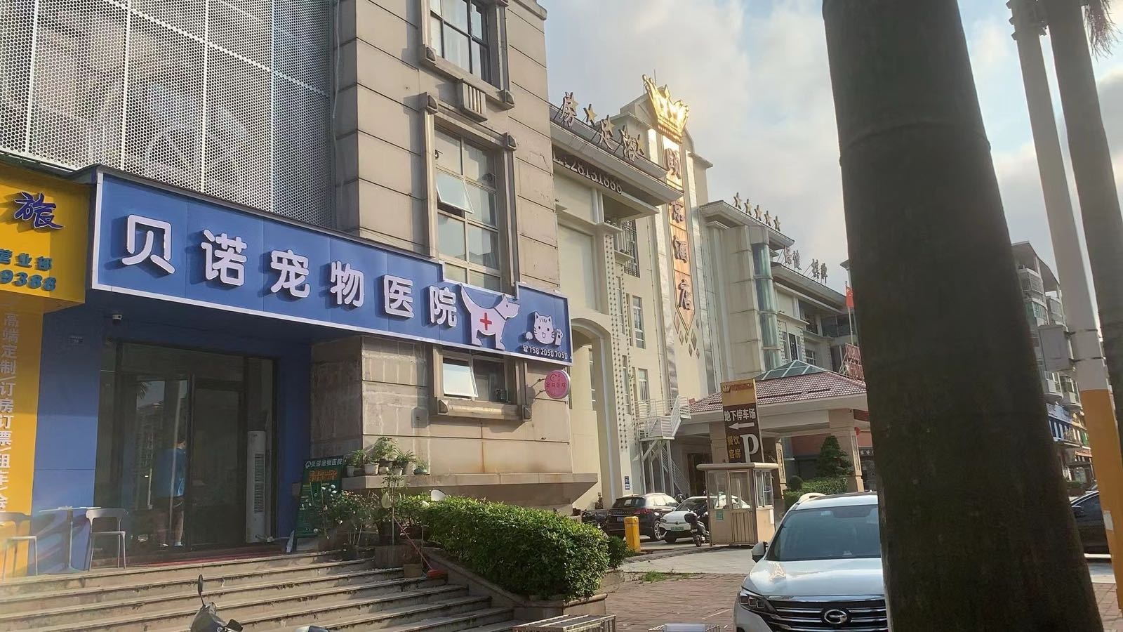 贝诺宠物医院(开发区店)