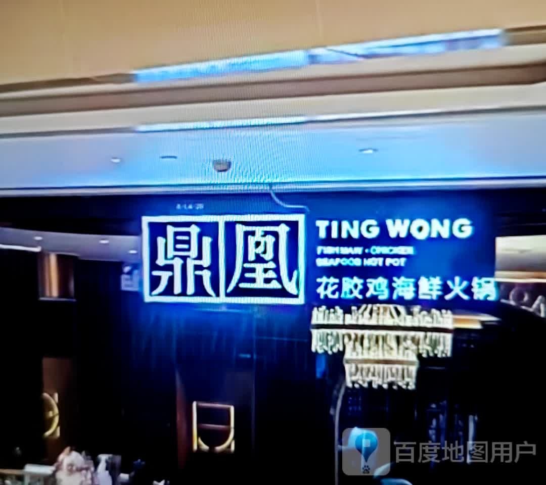 鼎凰花胶鸡海鲜火锅(九龙路店)
