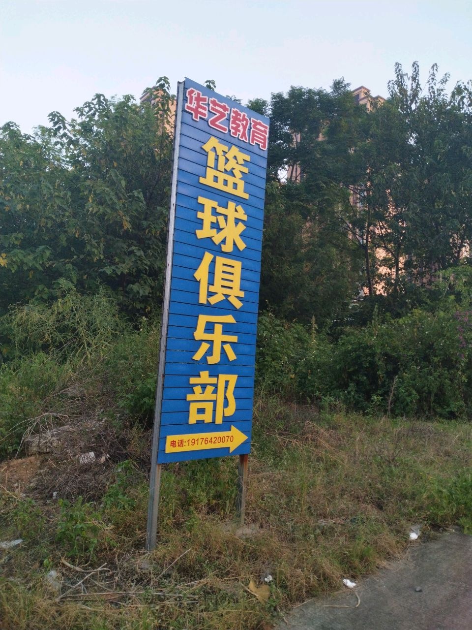 华艺教育篮球俱乐部