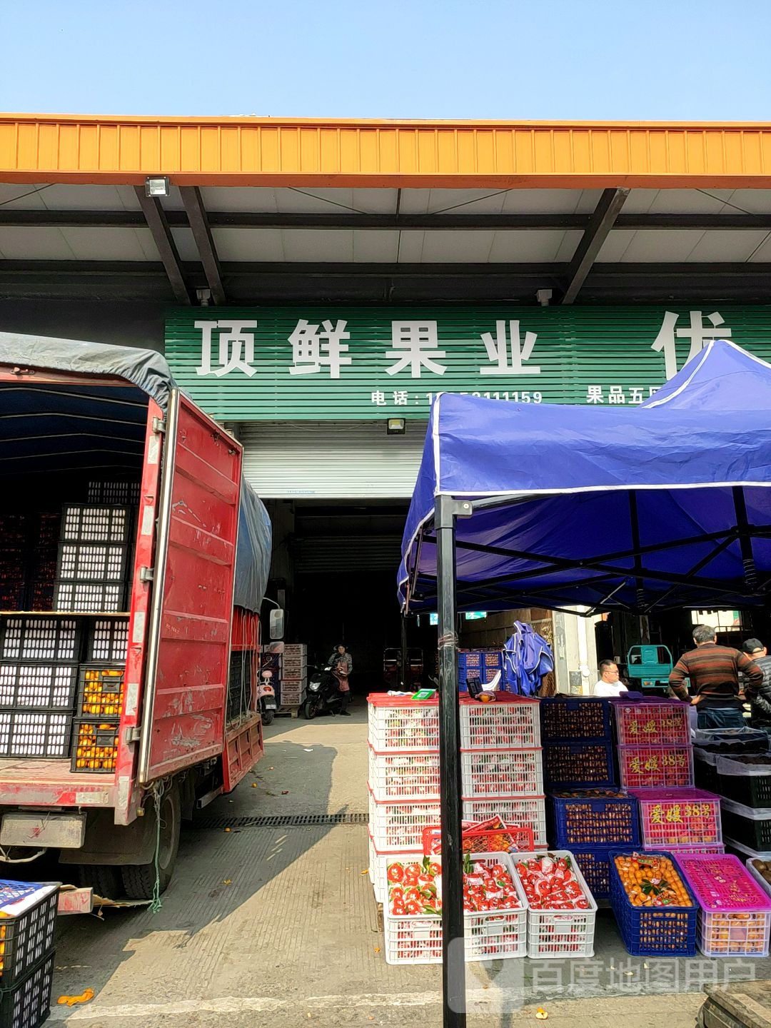 顶鲜果业