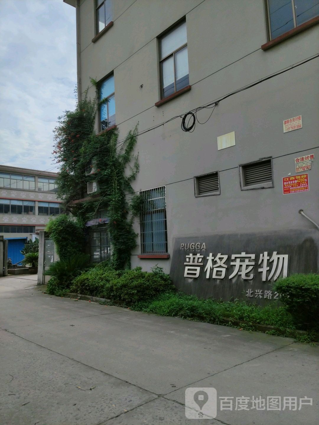 普格宠物