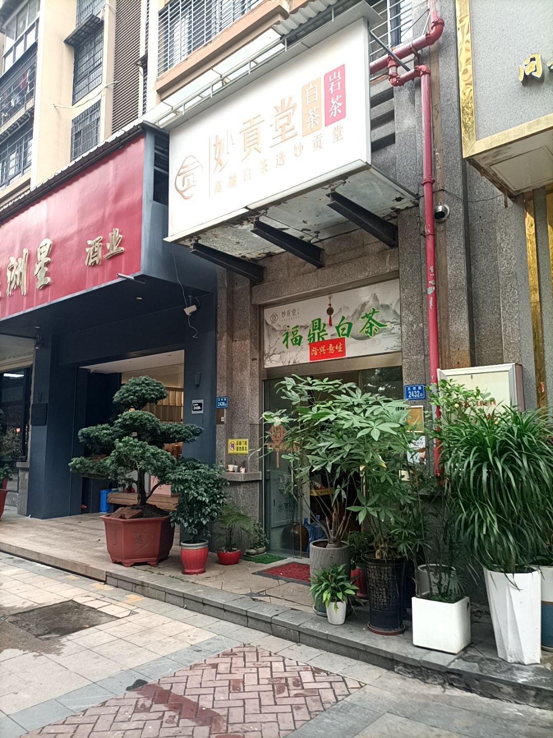 妙真堂福鼎白茶(五权路店)