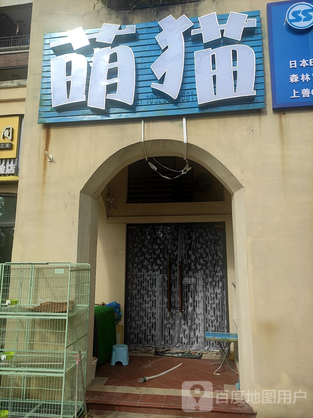 萌猫宠物店