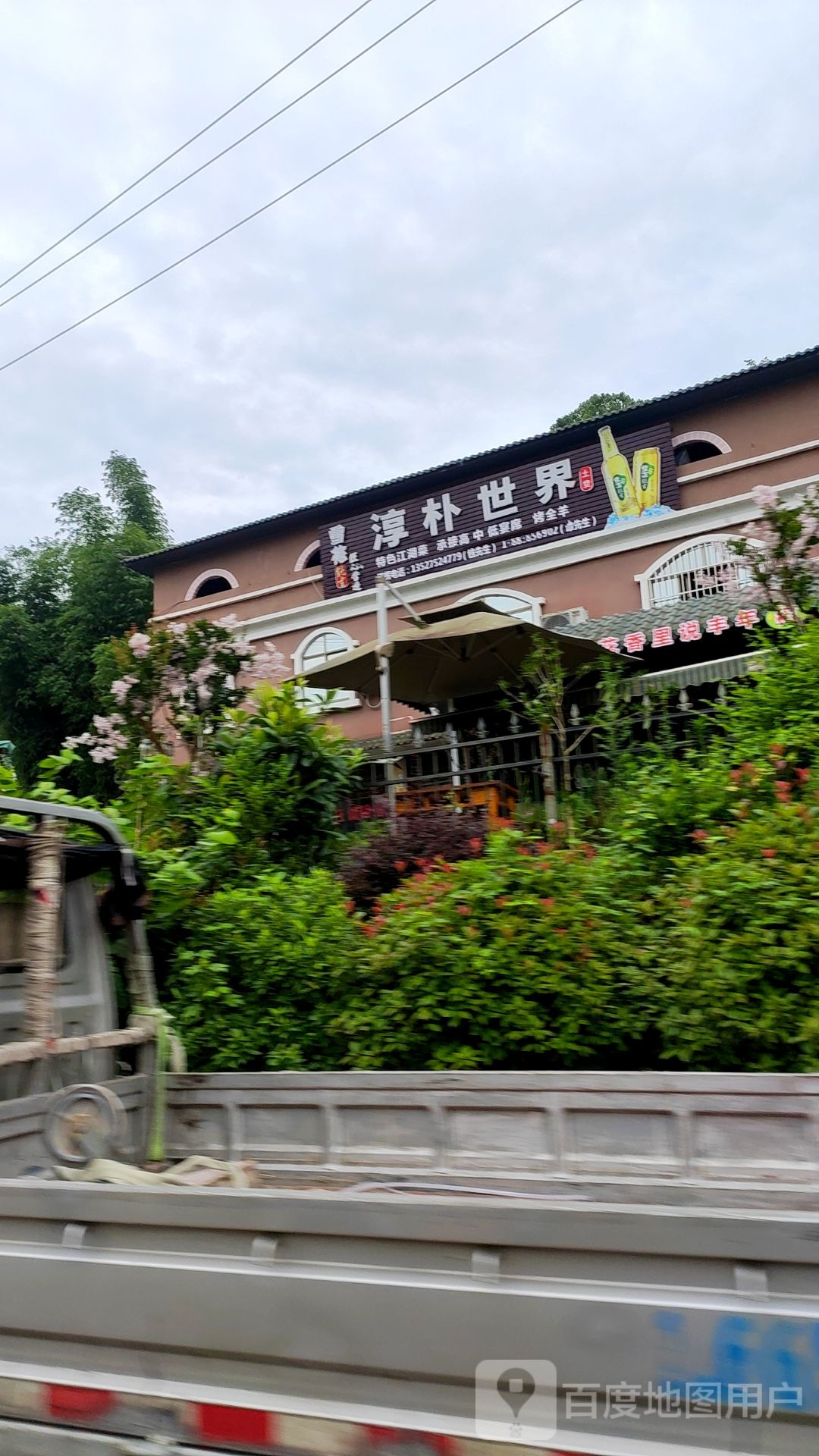 淳朴世介