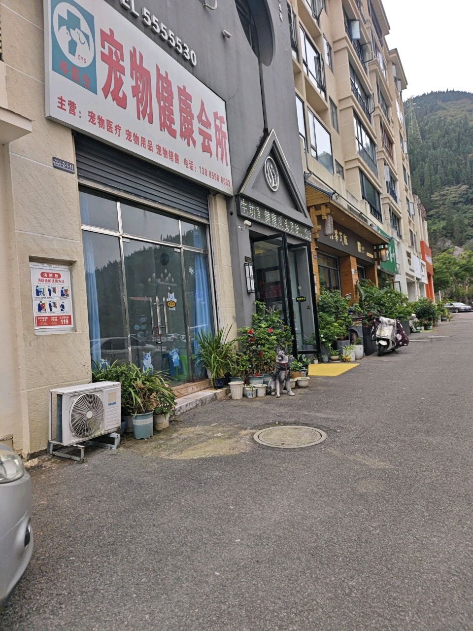 岑医生宠物健康会所