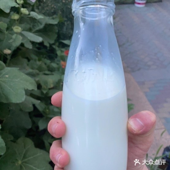正飞散鲜奶(开发区店)