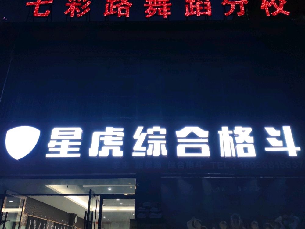 星虎综合格斗