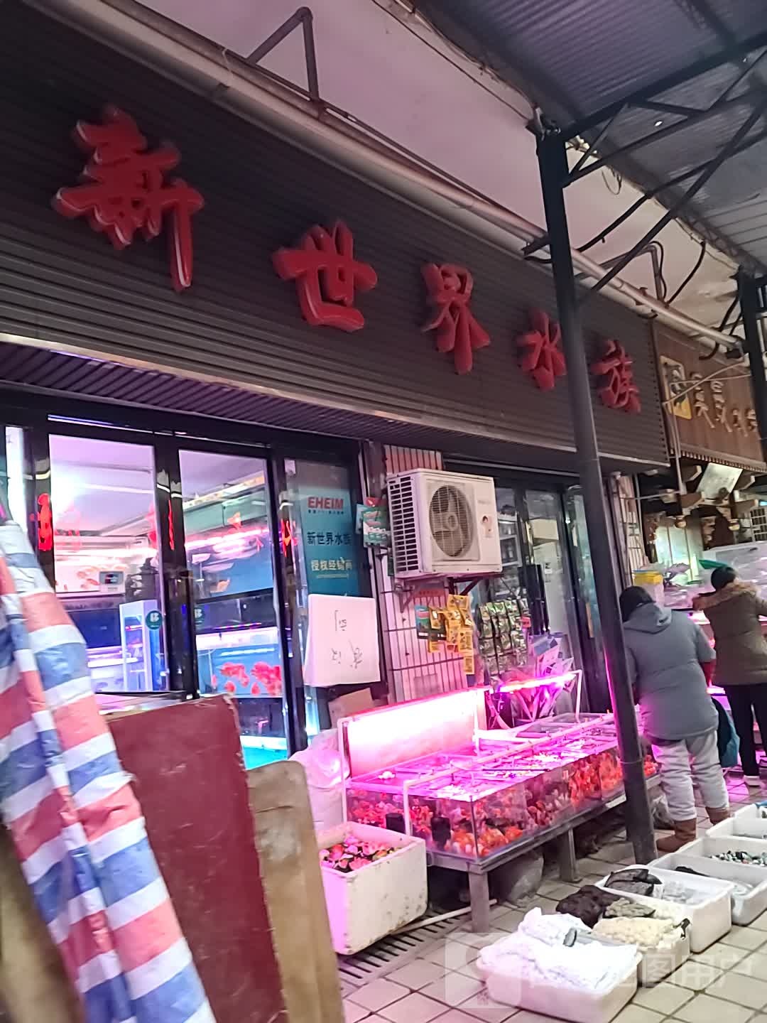 新世界水族