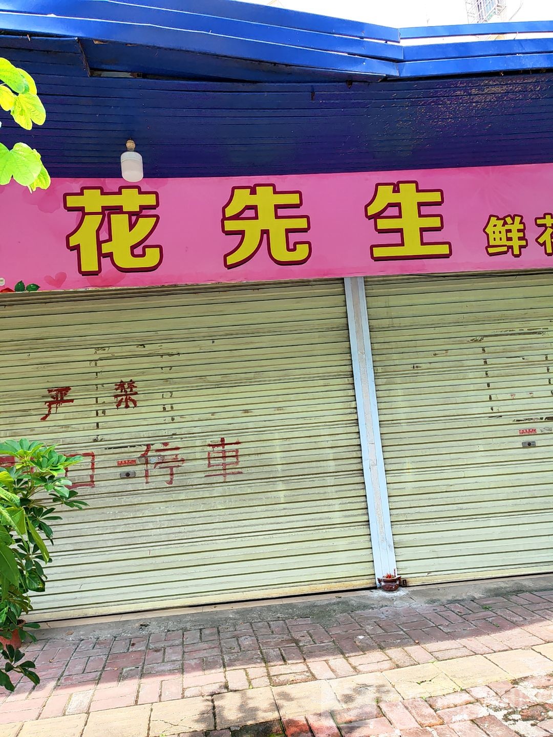 花先生鲜花园艺